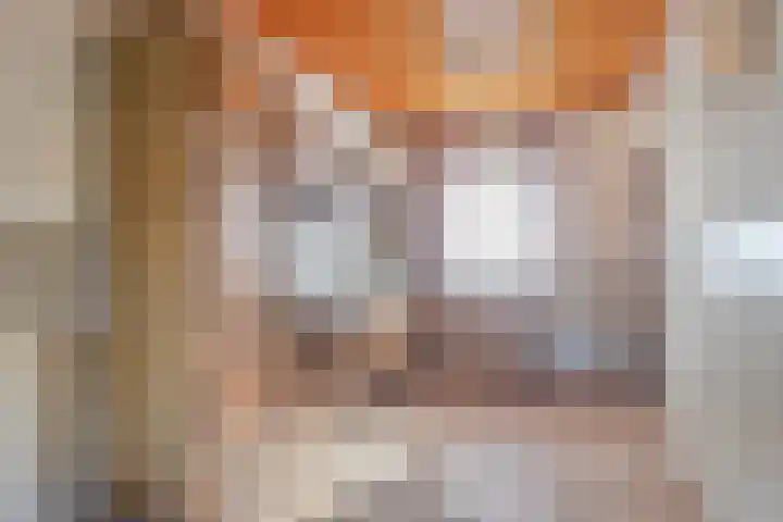 Pastoor van Houtstraat 3 Odiliapeel thumbnail 12