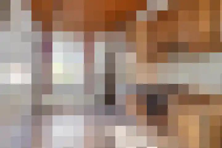 Pastoor van Houtstraat 3 Odiliapeel thumbnail 13