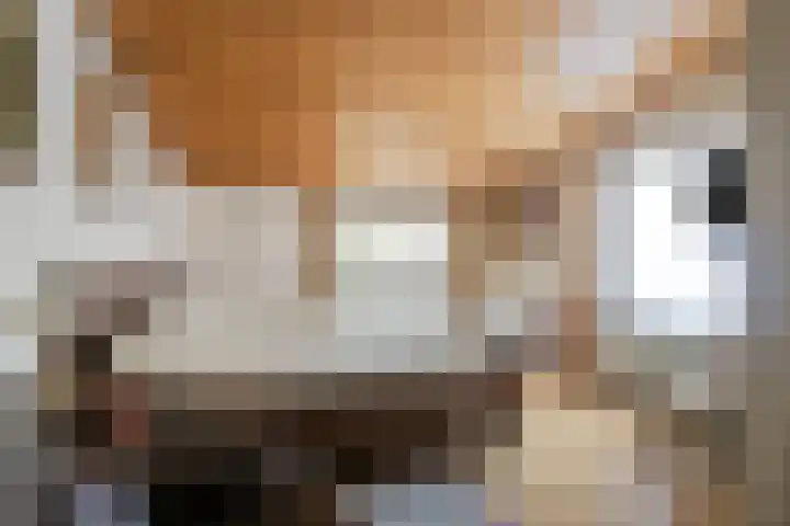 Pastoor van Houtstraat 3 Odiliapeel thumbnail 16