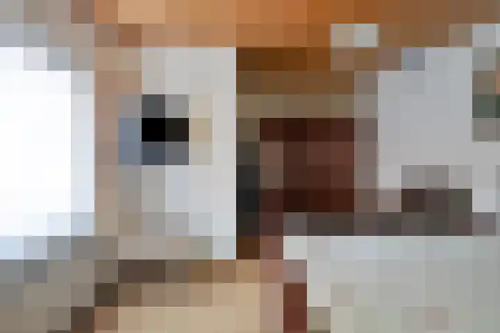 Pastoor van Houtstraat 3 Odiliapeel thumbnail 17