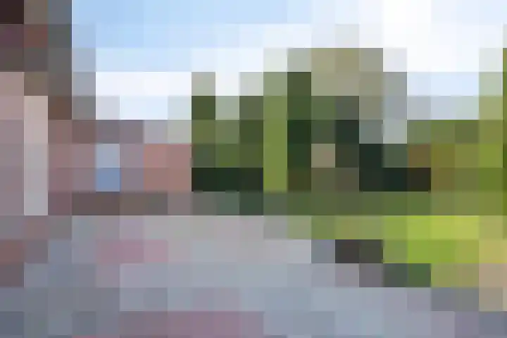 Pastoor van Houtstraat 3 Odiliapeel thumbnail 27