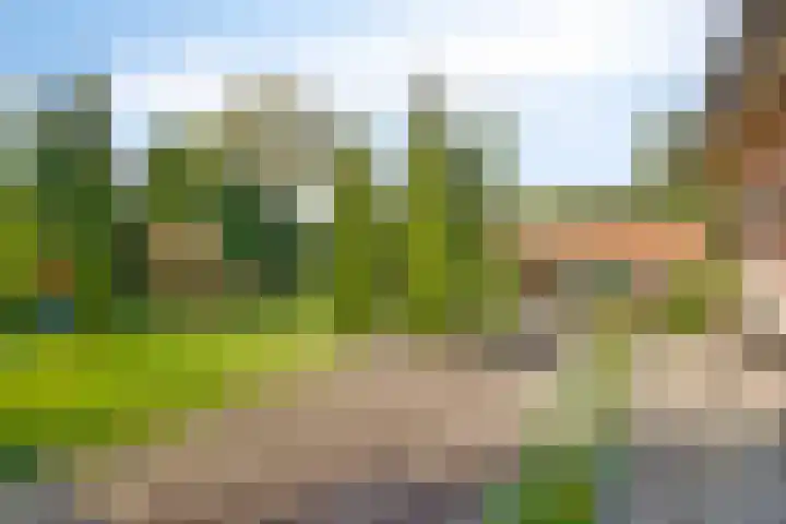 Pastoor van Houtstraat 3 Odiliapeel thumbnail 30