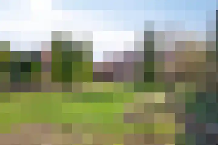 Pastoor van Houtstraat 3 Odiliapeel thumbnail 31