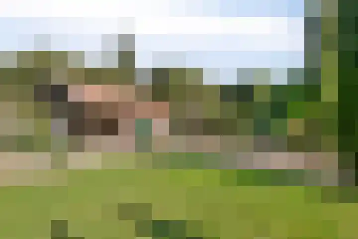 Pastoor van Houtstraat 3 Odiliapeel thumbnail 32