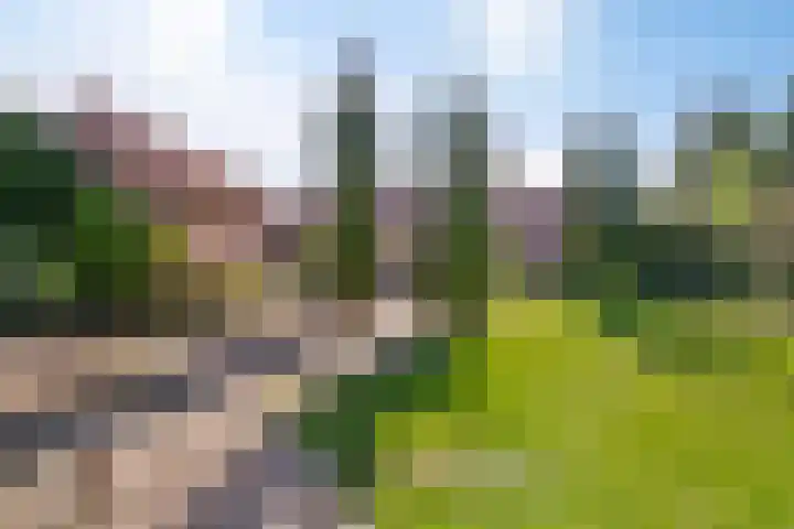 Pastoor van Houtstraat 3 Odiliapeel thumbnail 34