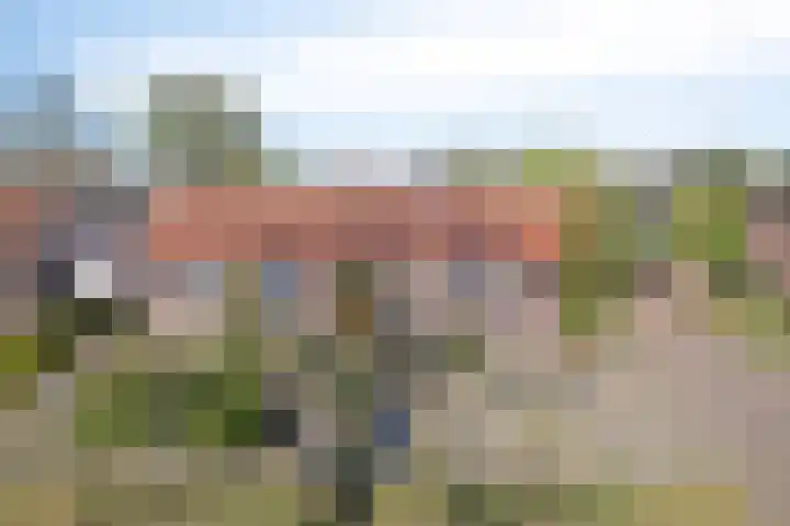 Pastoor van Houtstraat 3 Odiliapeel thumbnail 37
