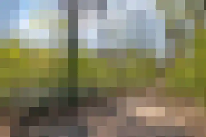 Pastoor van Houtstraat 3 Odiliapeel thumbnail 39