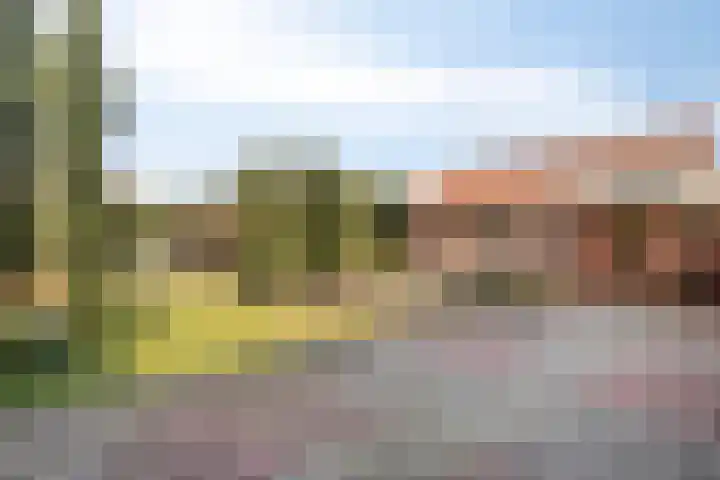 Pastoor van Houtstraat 3 Odiliapeel thumbnail 7