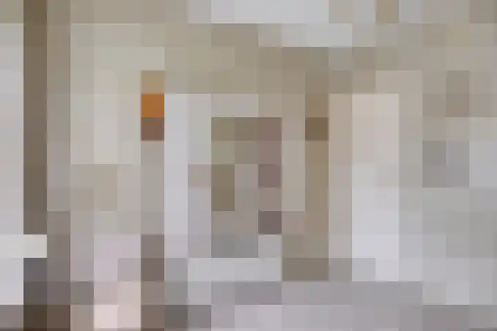 Pastoor van Houtstraat 6 Odiliapeel thumbnail 15