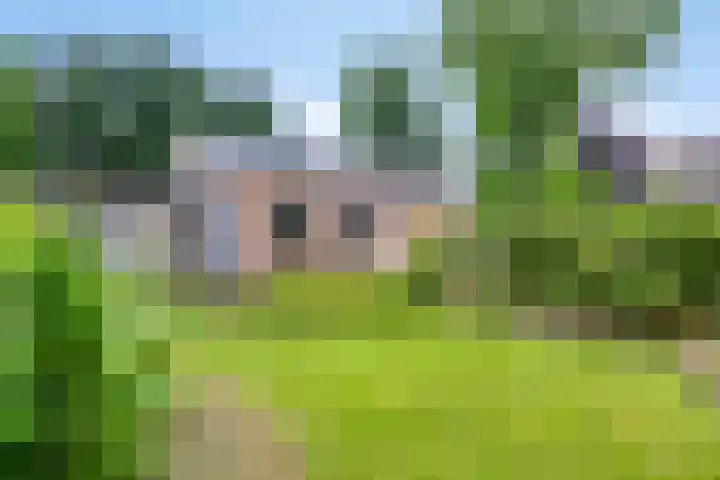 Pastoor van Houtstraat 6 Odiliapeel thumbnail 30