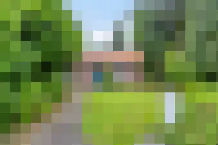 Pastoor van Houtstraat 6 Odiliapeel thumbnail 31