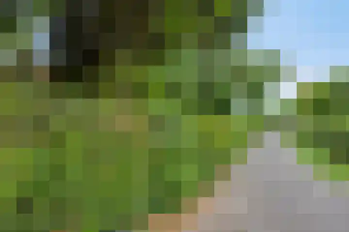 Pastoor van Houtstraat 6 Odiliapeel thumbnail 32
