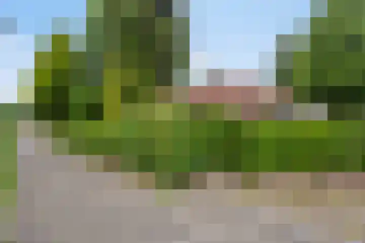 Pastoor van Houtstraat 6 Odiliapeel thumbnail 33
