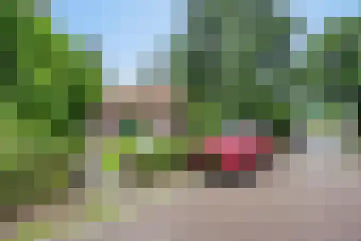 Pastoor van Houtstraat 6 Odiliapeel thumbnail 34
