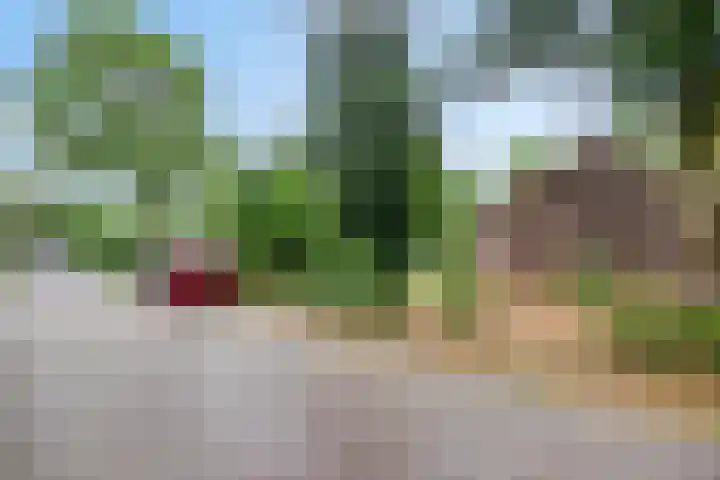 Pastoor van Houtstraat 6 Odiliapeel thumbnail 35