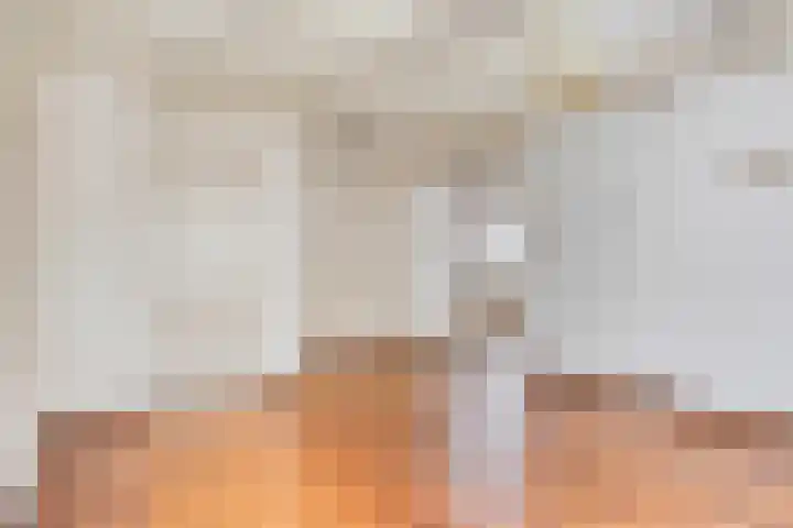 Pastoor van Houtstraat 6 Odiliapeel thumbnail 4