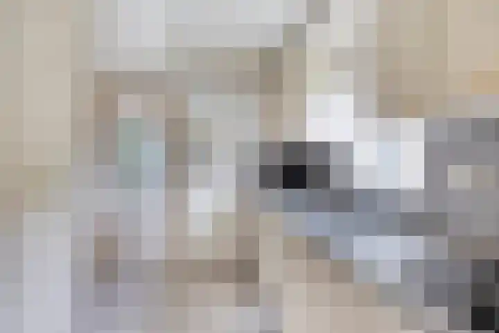 Pastoor van Houtstraat 6 Odiliapeel thumbnail 7