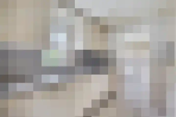 Pastoor van Houtstraat 6 Odiliapeel thumbnail 8