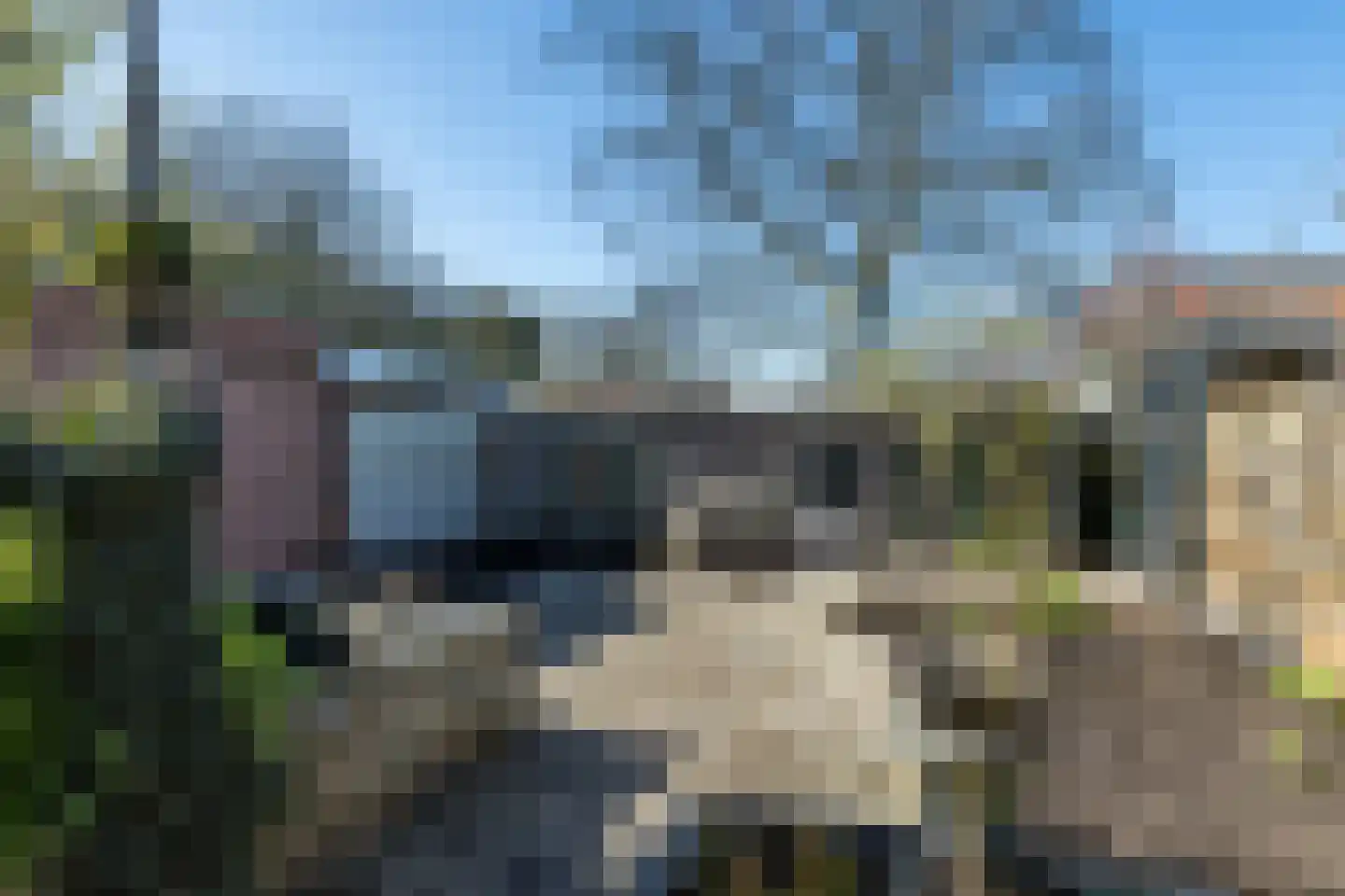 Pastoor van Kanstraat 14 Guttecoven thumbnail 24