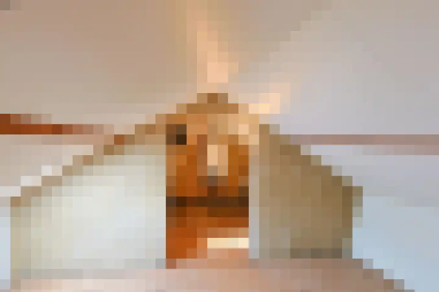 Pastoor van Kanstraat 20 Guttecoven thumbnail 20