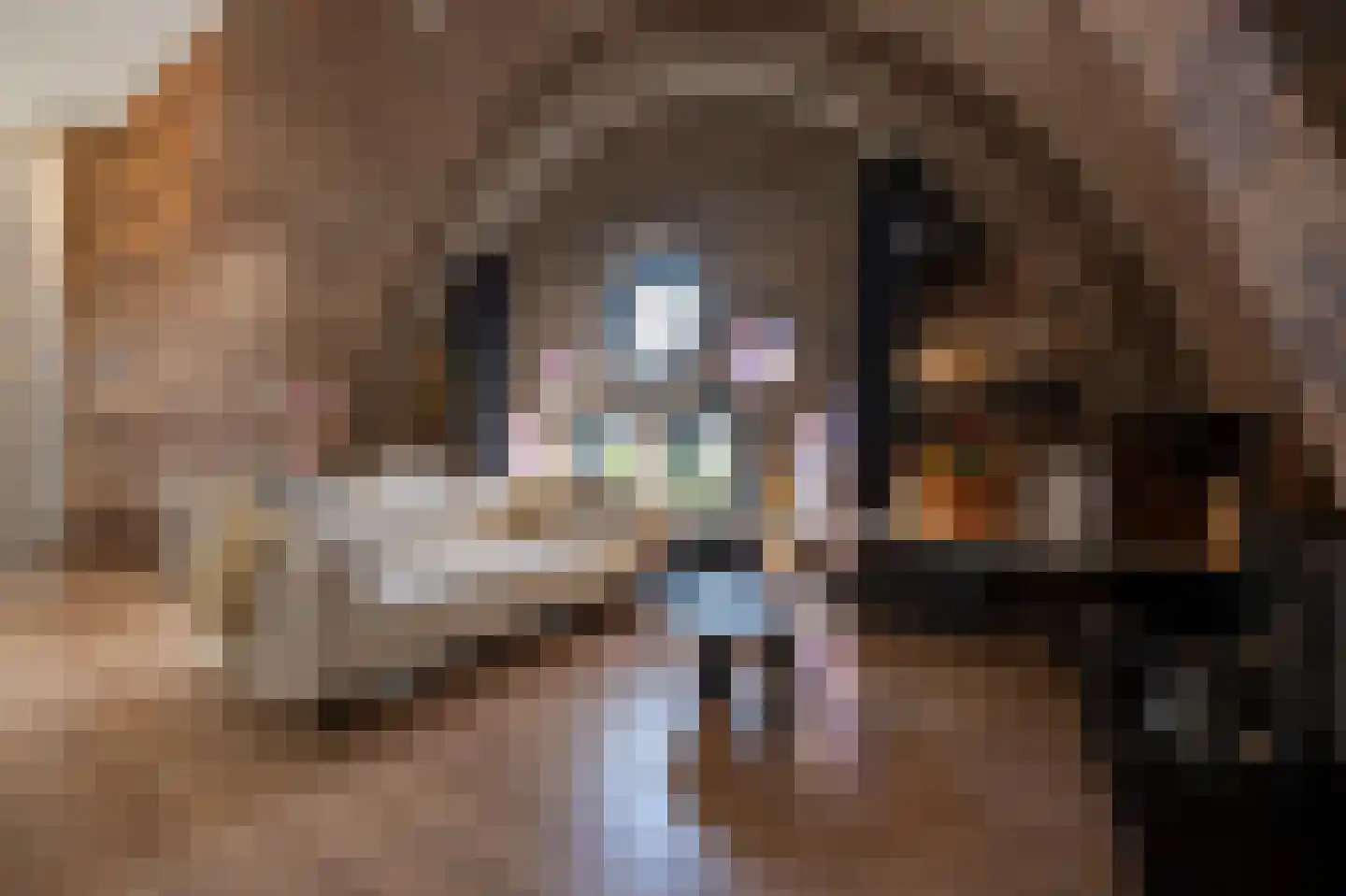 Pastoor van Kesselhof 18 p Waalwijk thumbnail 14