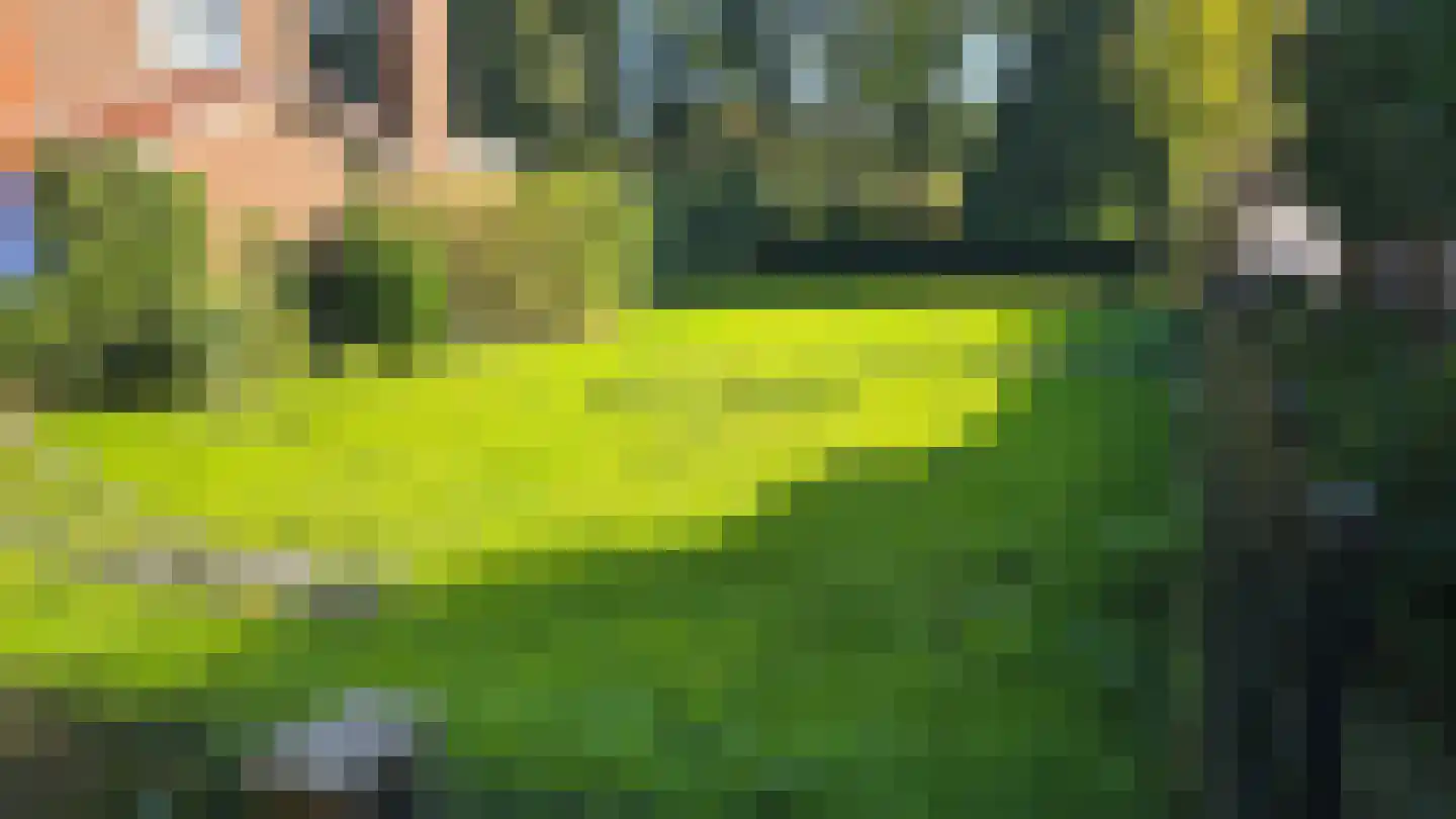 Pastoor van Laakstraat 11 Overdinkel thumbnail 5