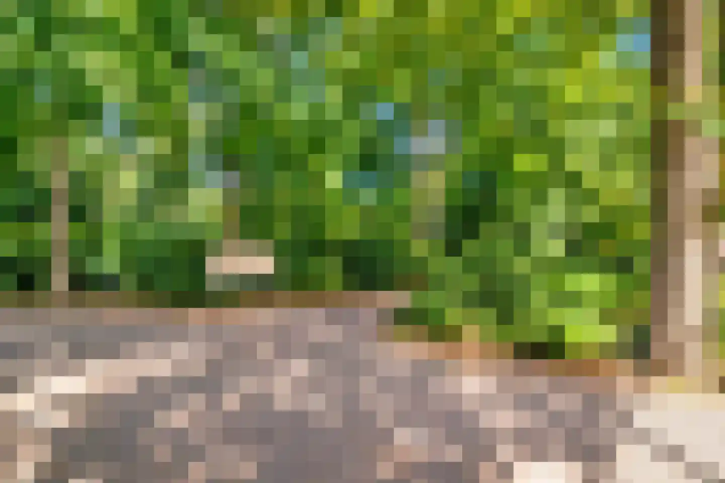 Pastoor van Laakstraat 11 Overdinkel thumbnail 7