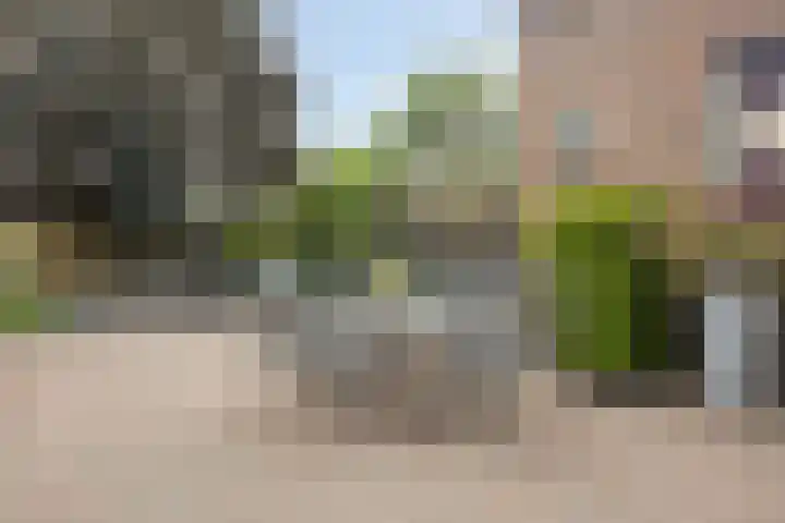 Pastoor van Laakstraat 6 A Lent thumbnail 31