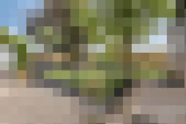 Pastoor van Laakstraat 6 A Lent thumbnail 34