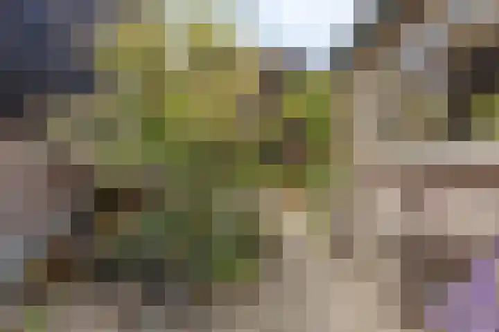 Pastoor van Laakstraat 6 A Lent thumbnail 38