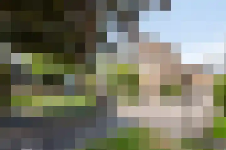 Pastoor van Laakstraat 6 A Lent thumbnail 51