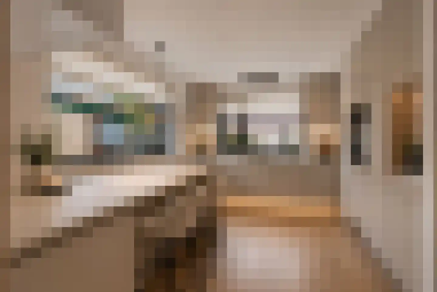 Pastoor van Laakstraat 70 Lent thumbnail 13