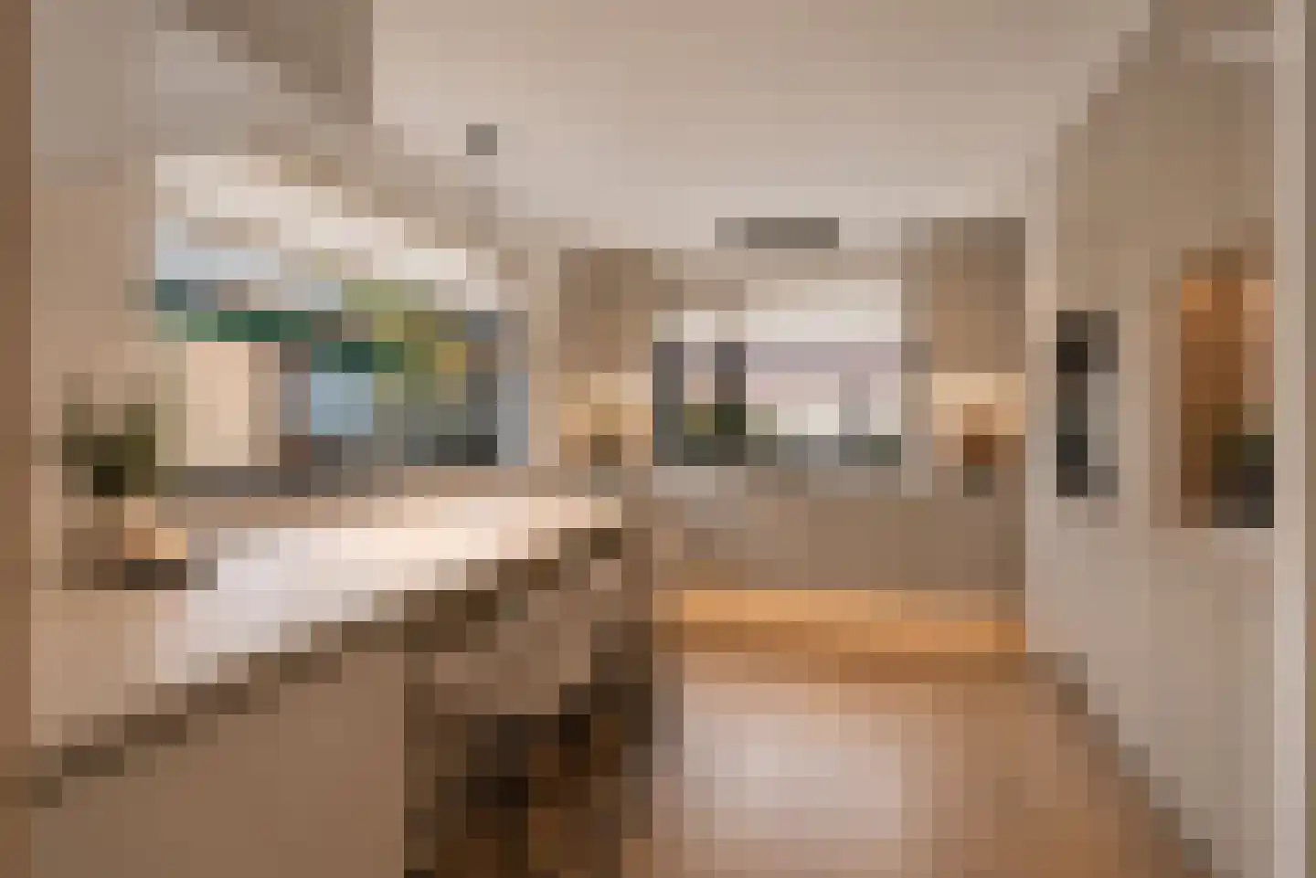Pastoor van Laakstraat 70 Lent thumbnail 13