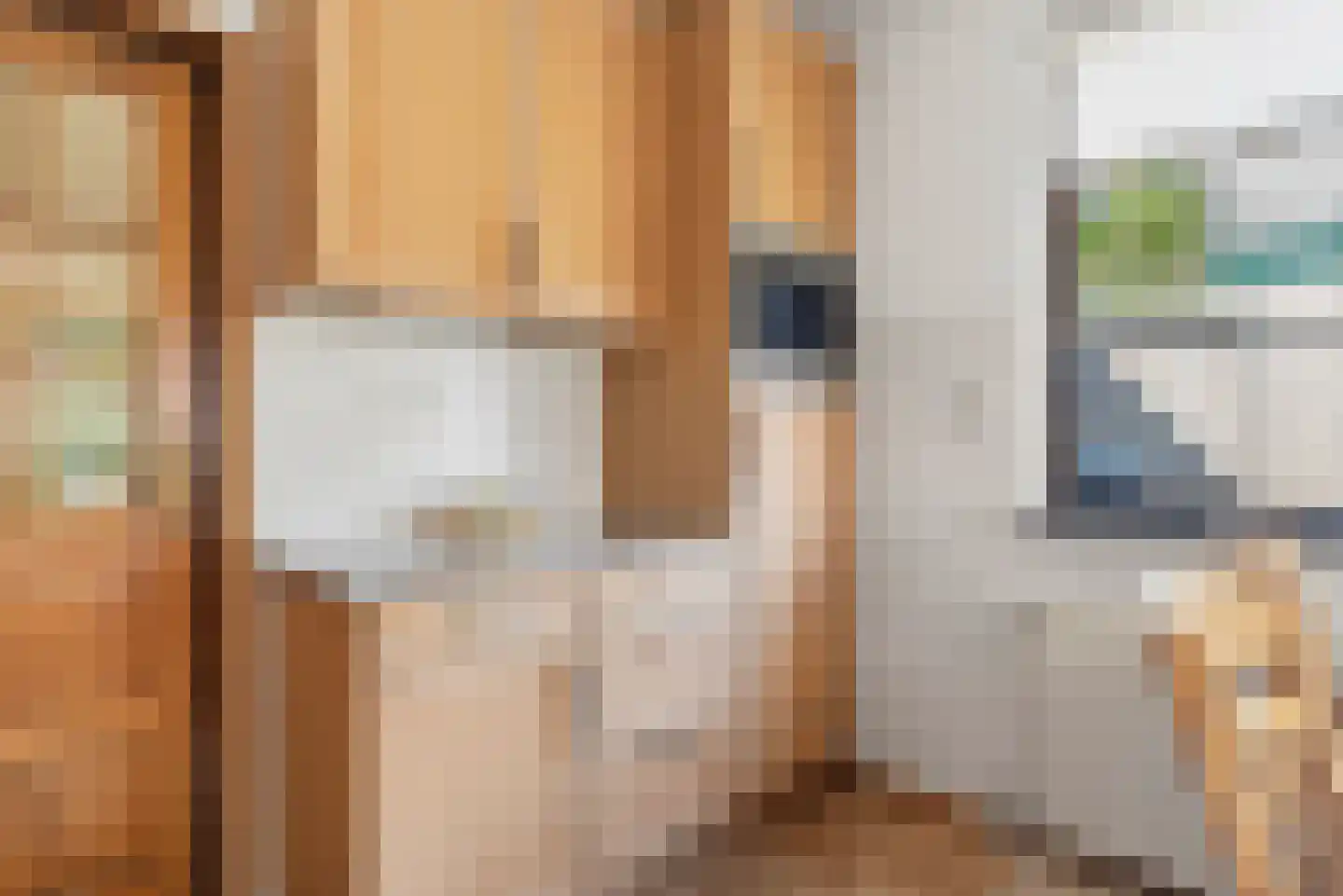 Pastoor van Laakstraat 70 Lent thumbnail 17