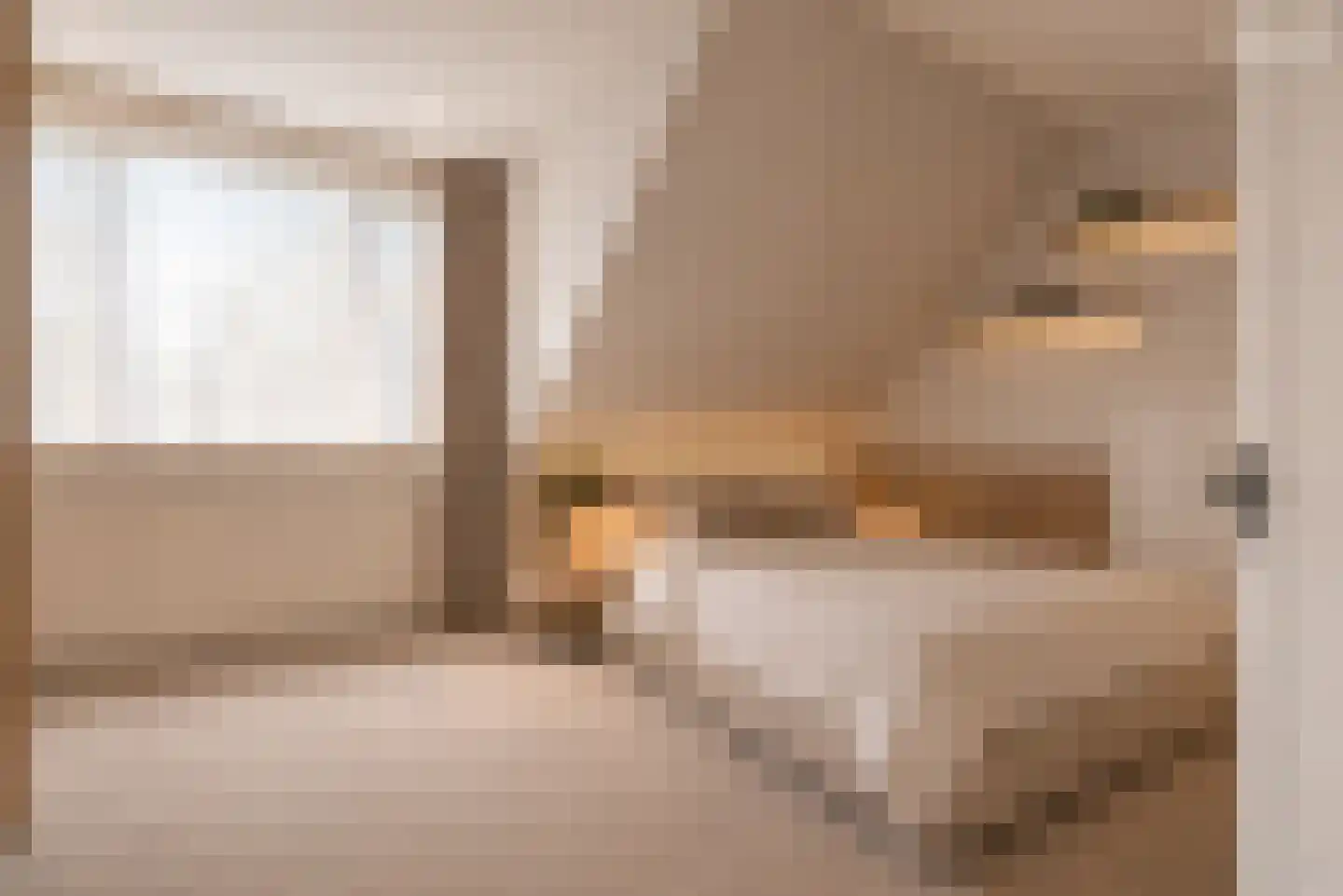 Pastoor van Laakstraat 70 Lent thumbnail 22