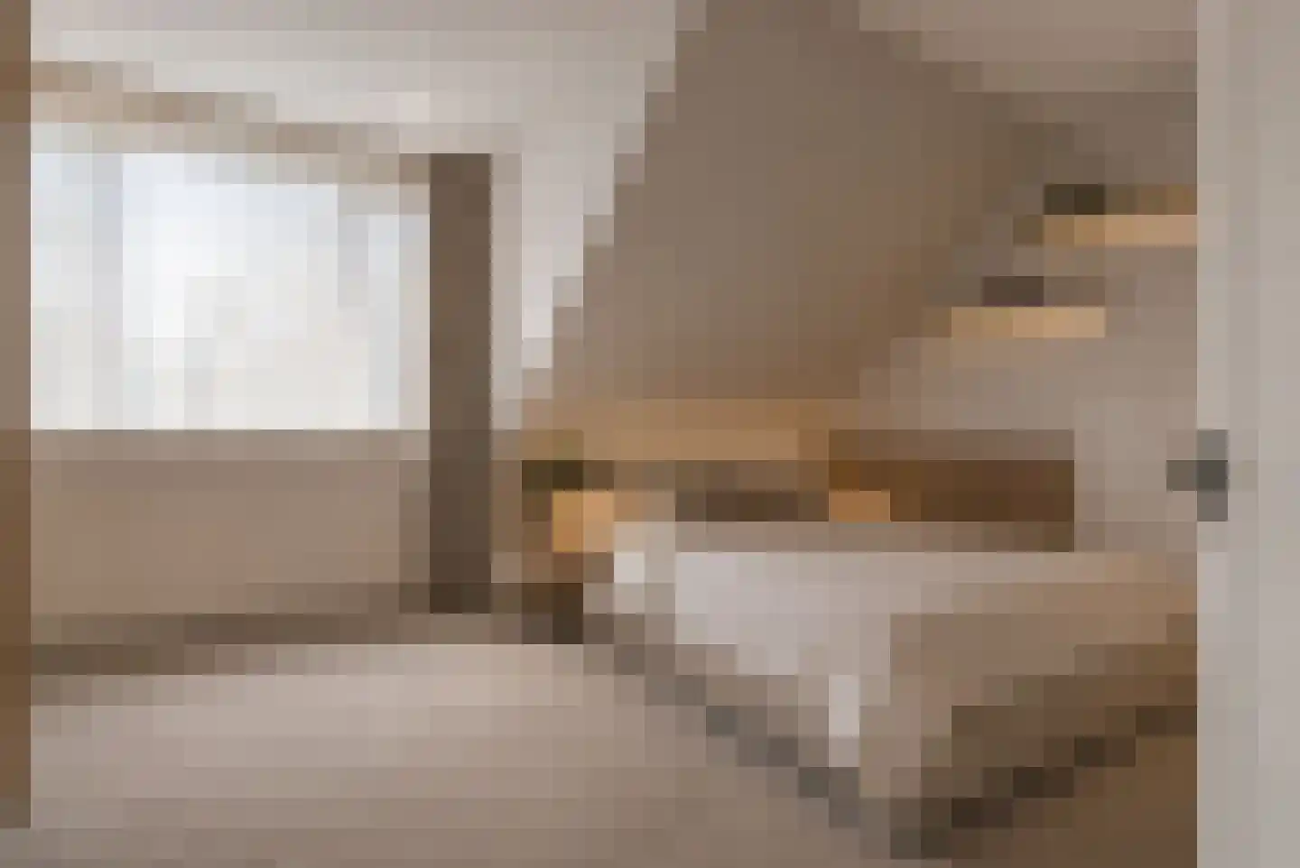 Pastoor van Laakstraat 70 Lent thumbnail 22