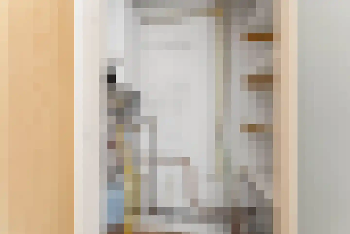 Pastoor van Laakstraat 70 Lent thumbnail 25