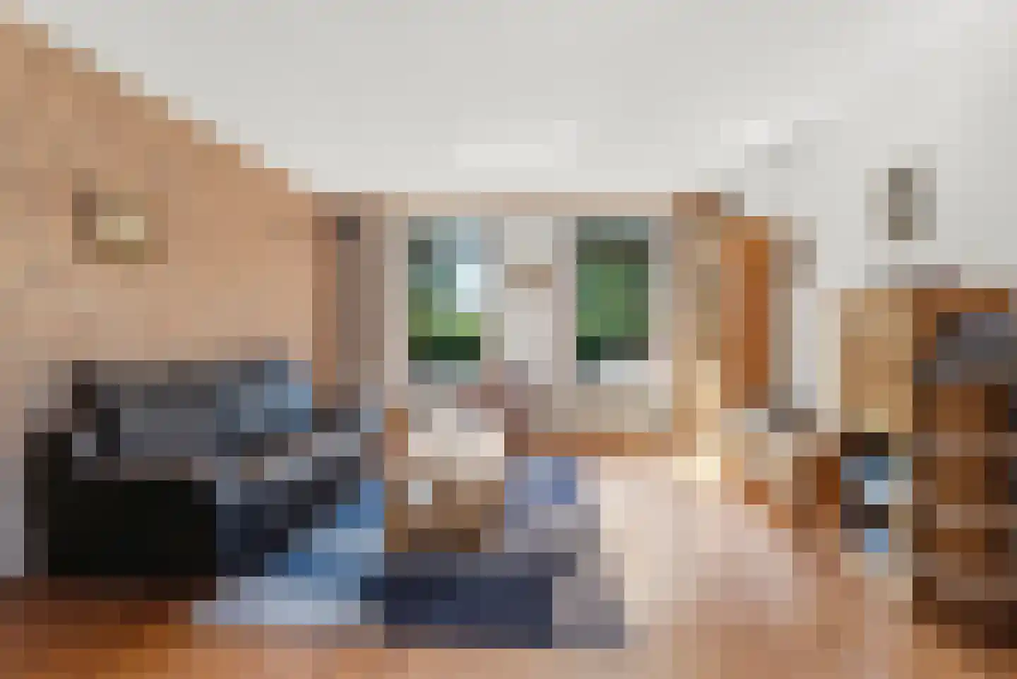 Pastoor van Laakstraat 70 Lent thumbnail 4