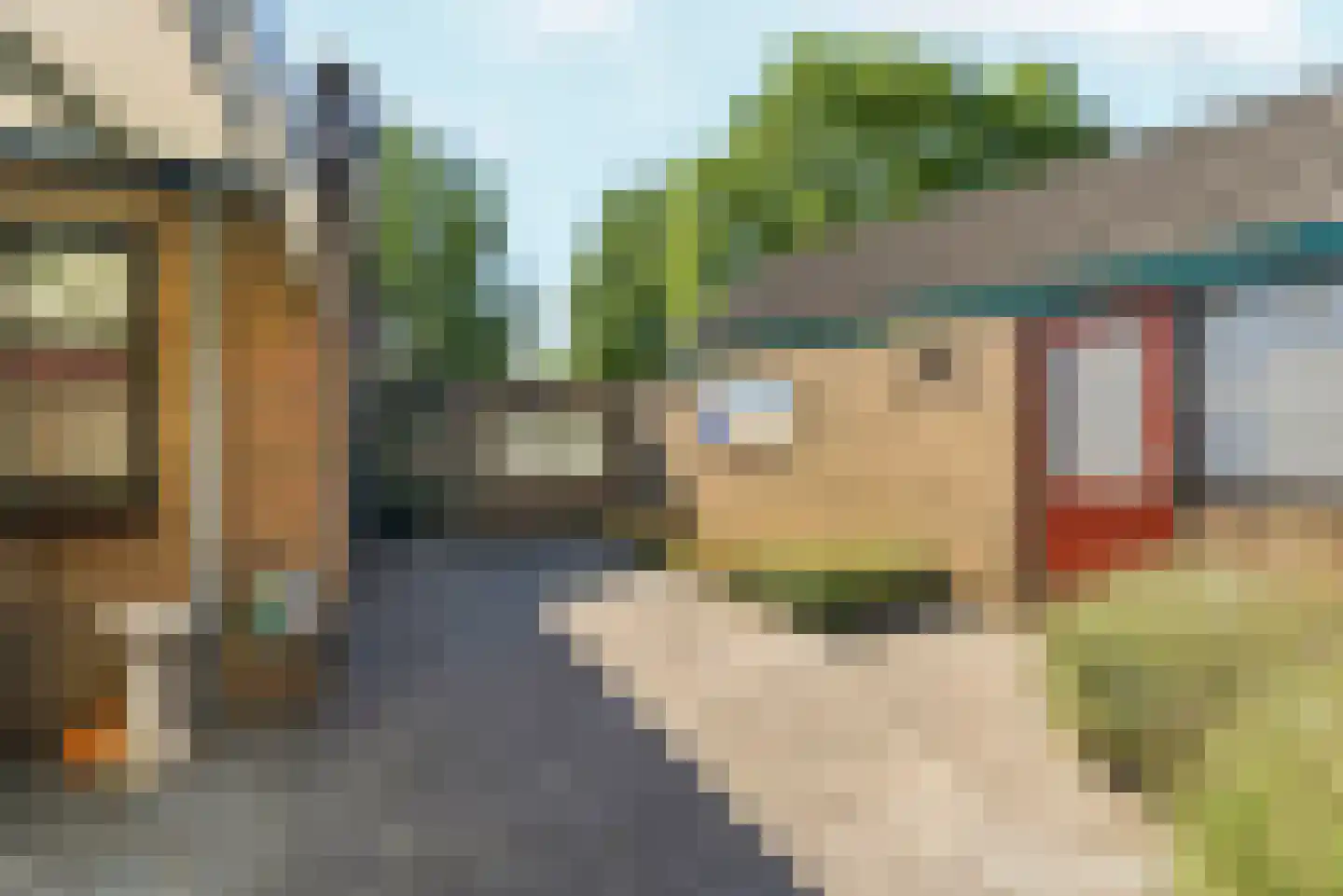 Pastoor van Laakstraat 70 Lent thumbnail 41