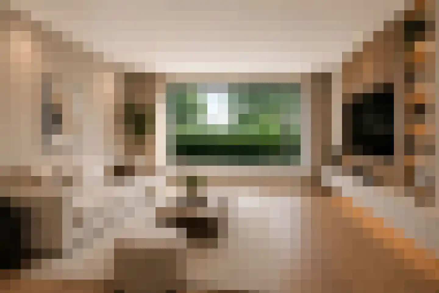 Pastoor van Laakstraat 70 Lent thumbnail 5