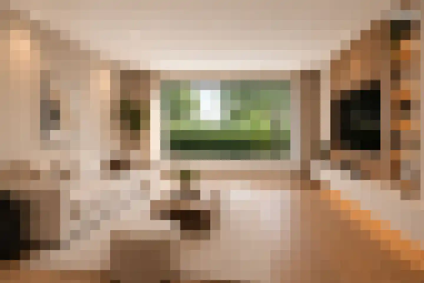 Pastoor van Laakstraat 70 Lent thumbnail 5