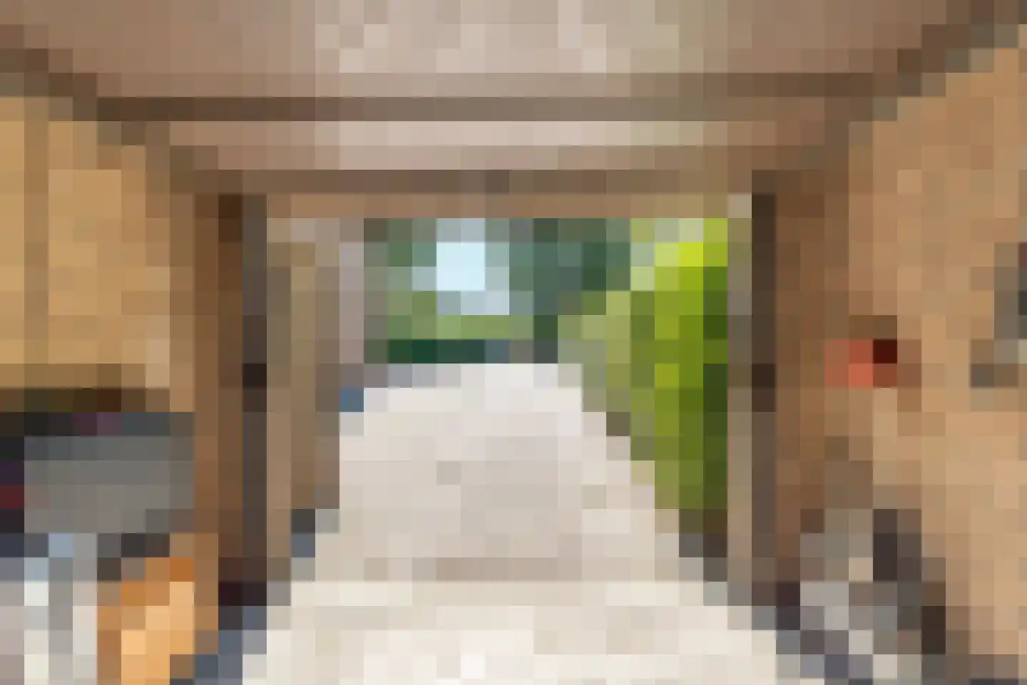 Pastoor van Laakstraat 70 Lent thumbnail 53