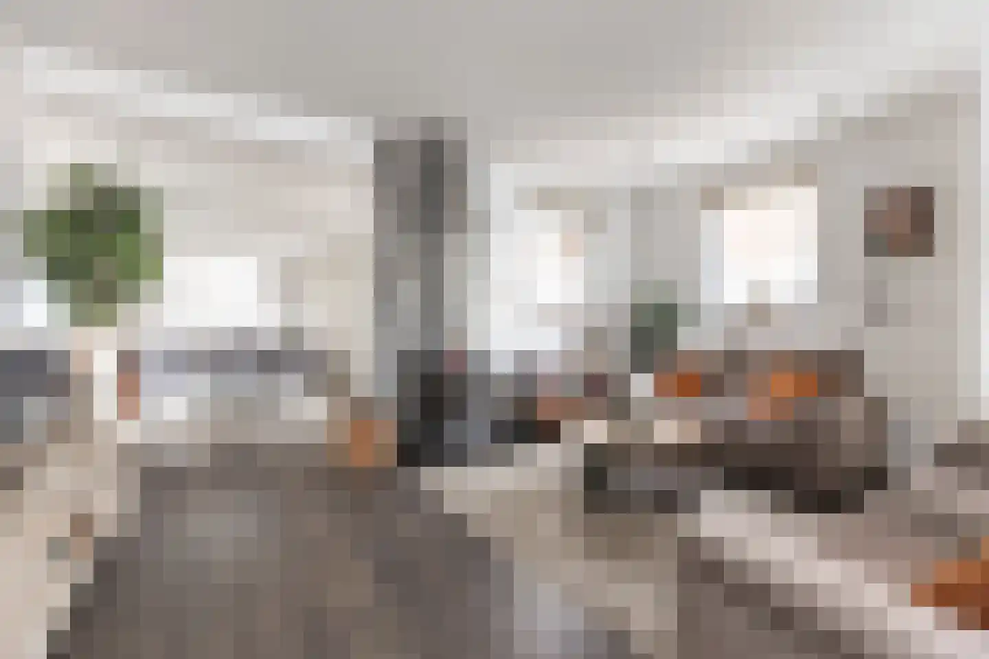 Pastoor van Leijsenstraat 14 Schijf thumbnail 11