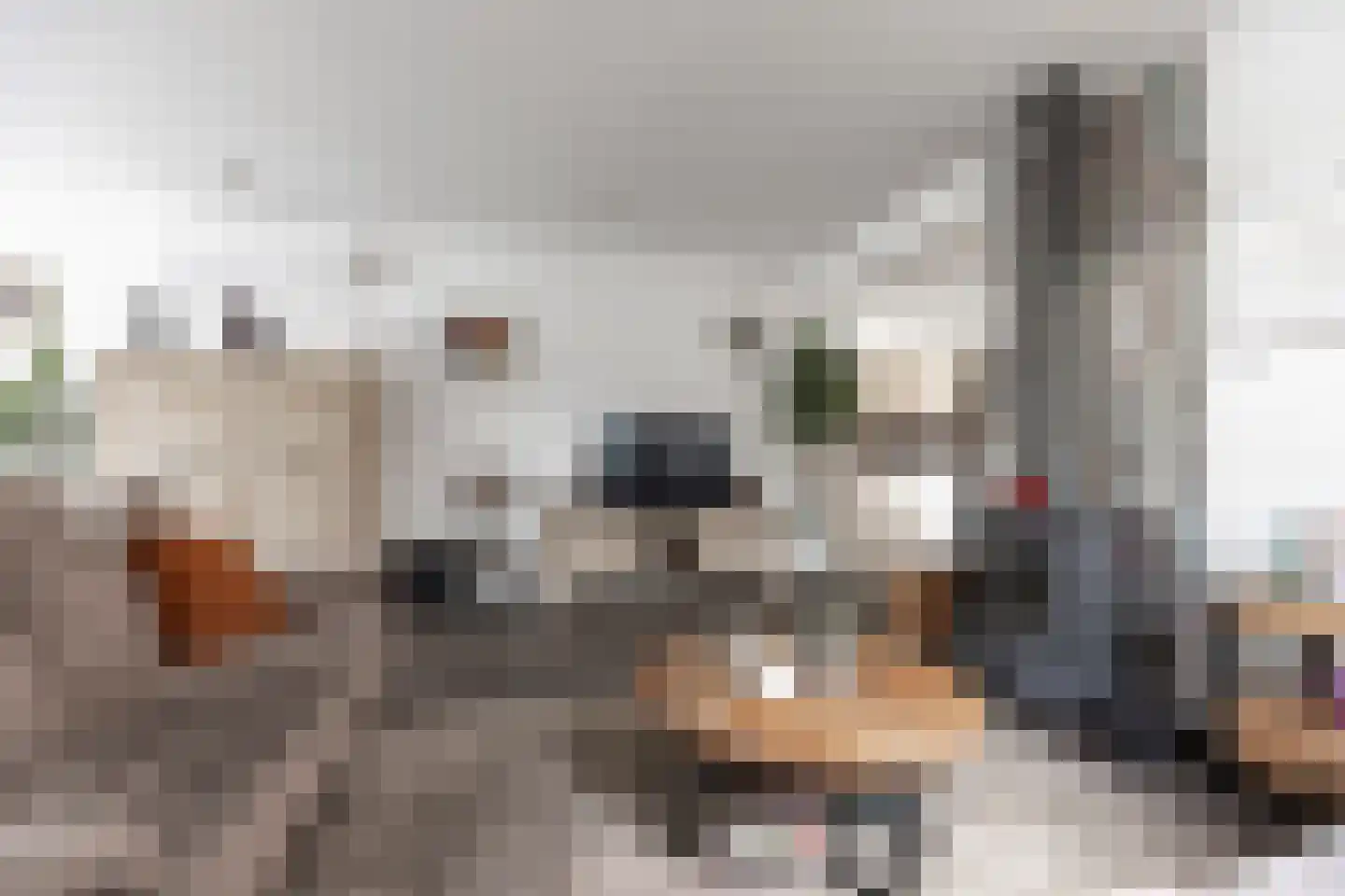 Pastoor van Leijsenstraat 14 Schijf thumbnail 13