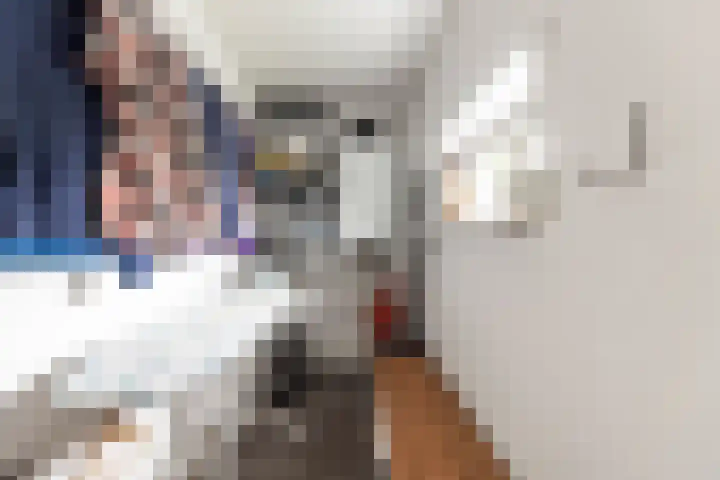 Pastoor van Leijsenstraat 14 Schijf thumbnail 22