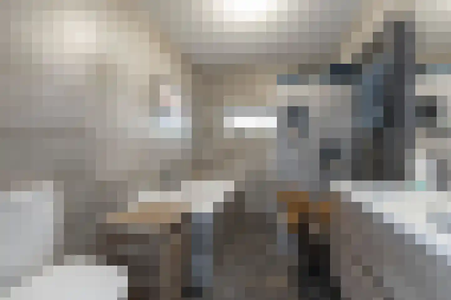 Pastoor van Leijsenstraat 14 Schijf thumbnail 23