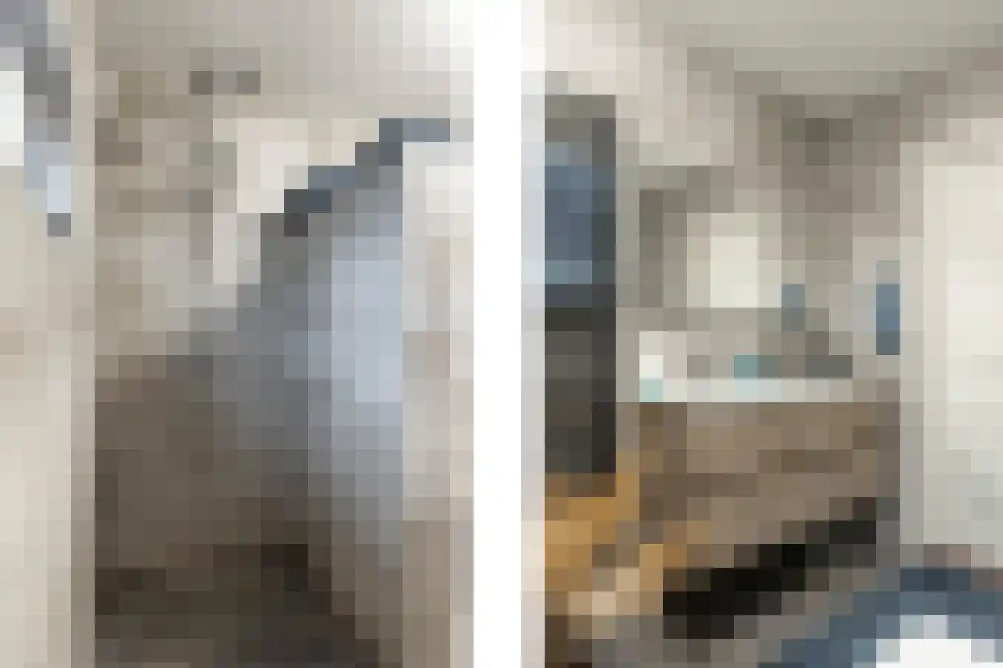 Pastoor van Leijsenstraat 14 Schijf thumbnail 25