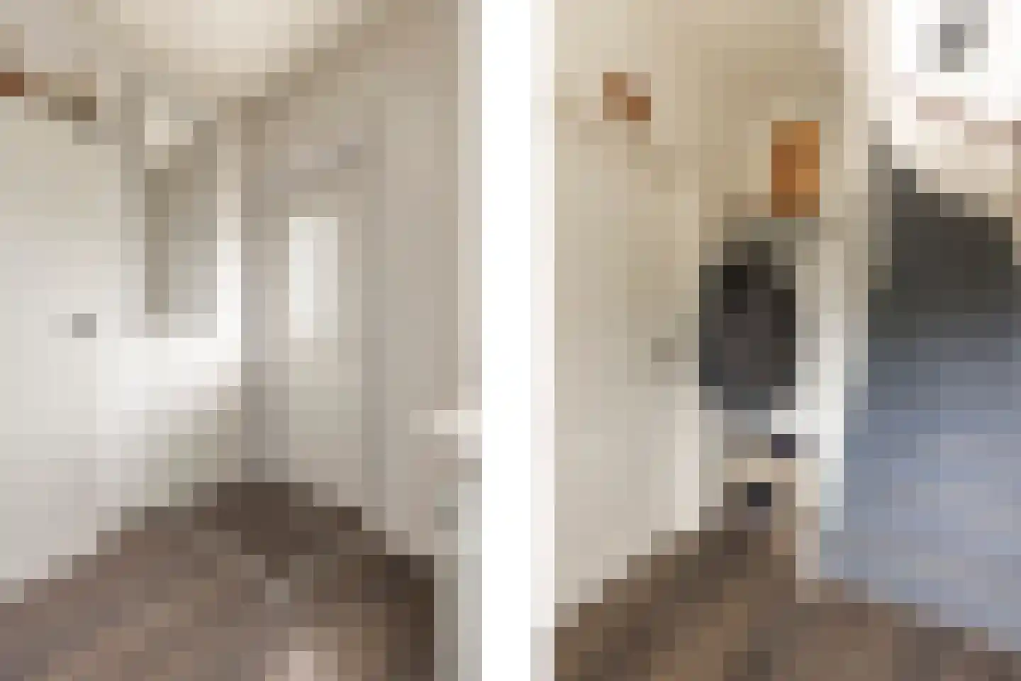 Pastoor van Leijsenstraat 14 Schijf thumbnail 27