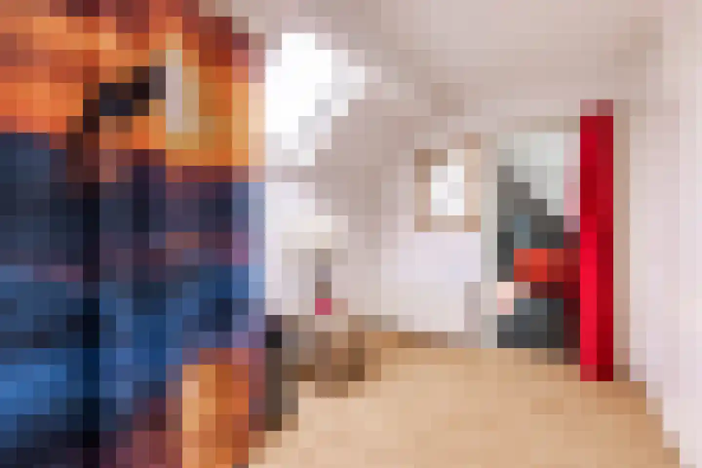 Pastoor van Leijsenstraat 14 Schijf thumbnail 34