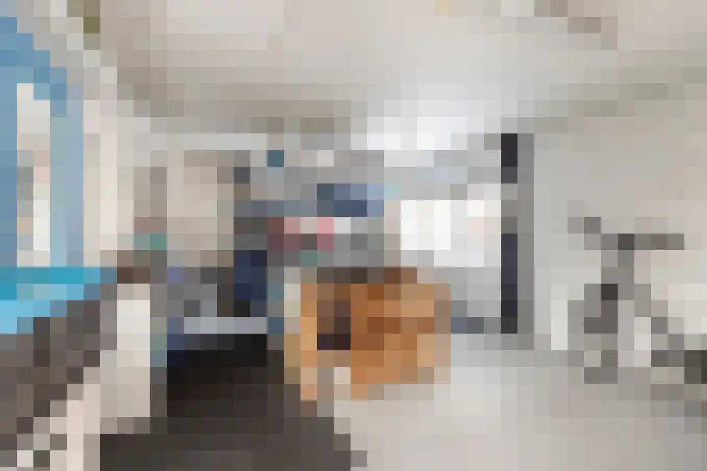 Pastoor van Leijsenstraat 14 Schijf thumbnail 42